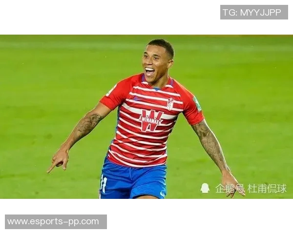 麦肯尼禁区内犹豫不决被断球错失良机 麦肯尼禁区内犹豫不决被断球错失良机